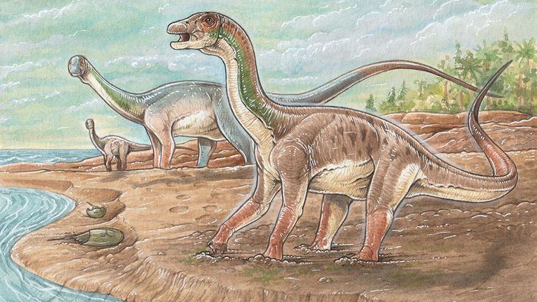 Dinosaurio saurópodo patinando sobre una superficie resbaladiza como consecuencia del desarrollo de matas microbianas junto a un canal de marea con el mar hacia el fondo. (Ilustración de Gabriel Lio).
