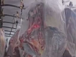 Comenzó a llegar la carne con hueso del norte de la berrera. ¿Cumple con los requisiitos de la resolución del SENASA? Comenzó a llegar la carne con hueso del norte de la berrera. ¿Cumple con los requisiitos de la resolución del SENASA?