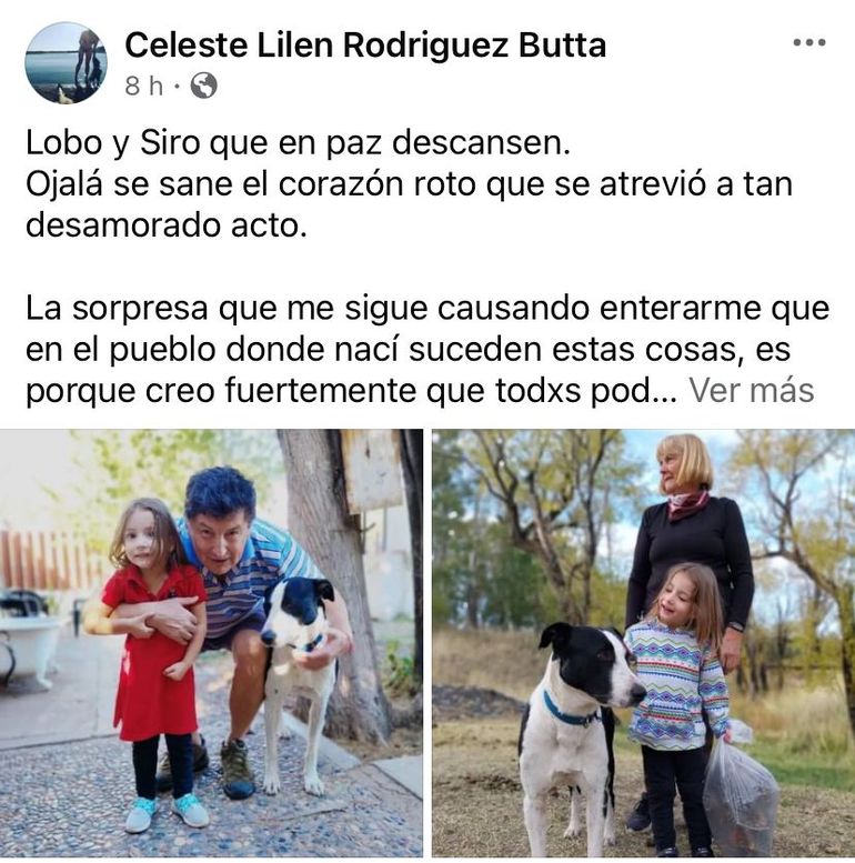 Crueldad animal en Neuquén: vecinos de El Chocón denuncian una matanza de perros 