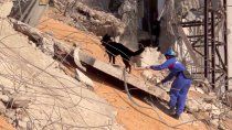 beirut: buscan mascotas perdidas entre los escombros