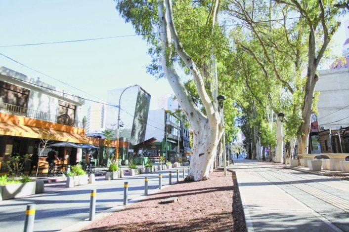 La Muni planea sacar los eucaliptus del boulevar de calle 9 de Julio. La Muni planea sacar los eucaliptus del boulevar de calle 9 de Julio.