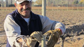 trabajador-rural2_732_1296