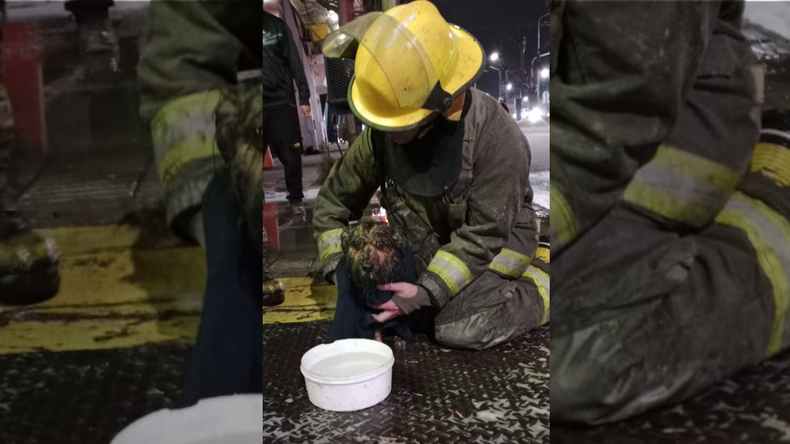 Bomberos rescataron un perro entre las llamas y el humo de un incendio