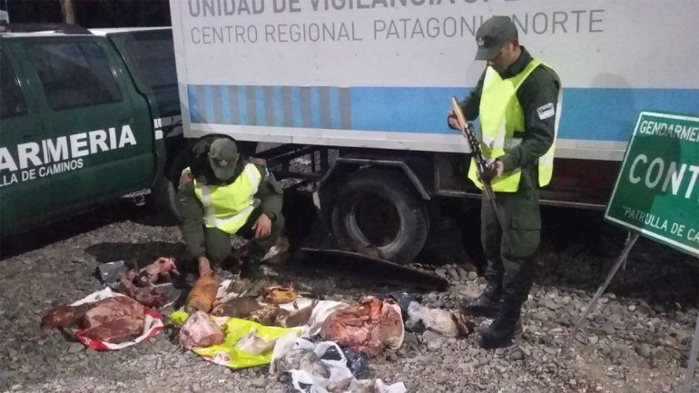 Intentaron contrabandear carne de animales silvestres y los atraparon
