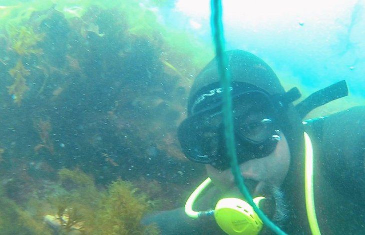 Aguayo tiene un proyecto para cosechar las algas y comercializarlas.