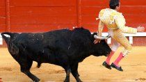 espana: toro cornea a experto torero y lo hirio en los gluteos espana: toro cornea a experto torero y lo hirio en los gluteos