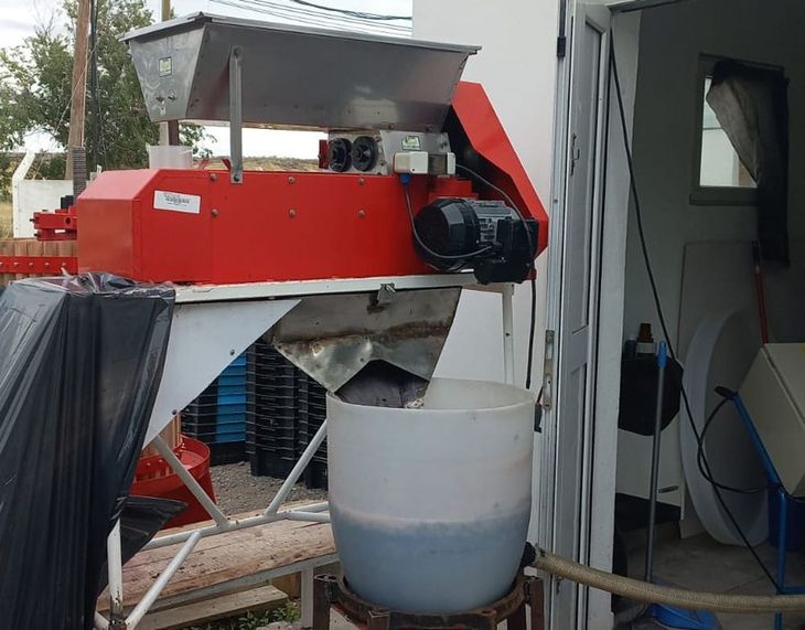 Sello orgánico: Casi el 74% de la producción de vino en el valle ya cuenta con certificación orgánica. Sello orgánico: Casi el 74% de la producción de vino en el valle ya cuenta con certificación orgánica.