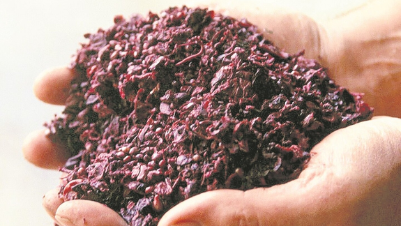 Estudian el potencial del orujo en la prevención del cáncer.