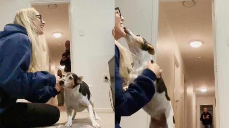 La escena enternece a todos en YouTube