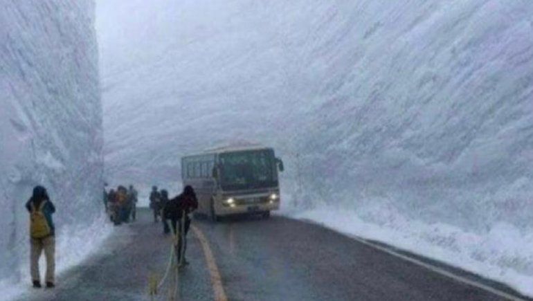 El papelón de un funcionario chileno que confundió Pino Hachado con Japón