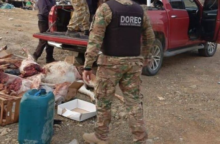 Santa Cruz: descubrieron un enorme cargamento de guanacos cazados de manera ilegal. Santa Cruz: descubrieron un enorme cargamento de guanacos cazados de manera ilegal.