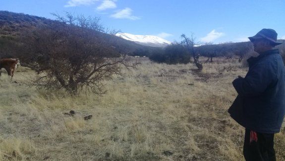Villa Nahueve: Provincia pedirá la suspensión de un desalojo y generará un espacio de mediación