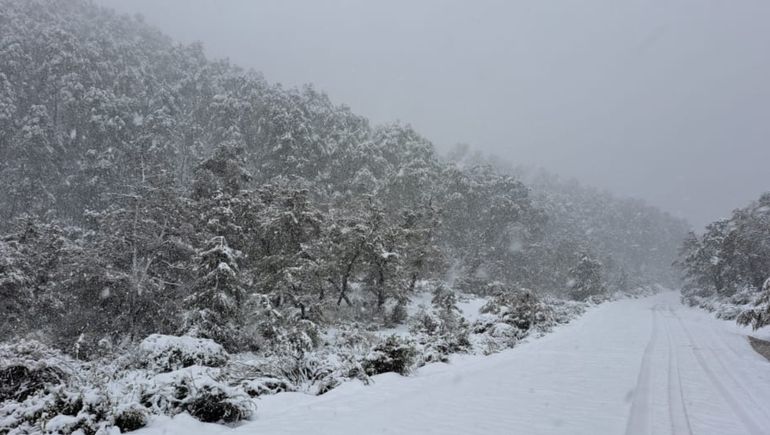 El pronóstico se cumplió y cayó nieve en varias localidades de la provincia