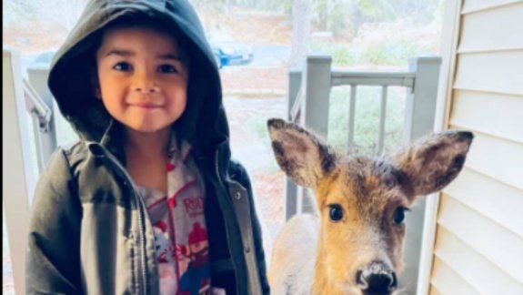 Viral en Facebook: un nene salió a caminar y regresó a casa con un venado