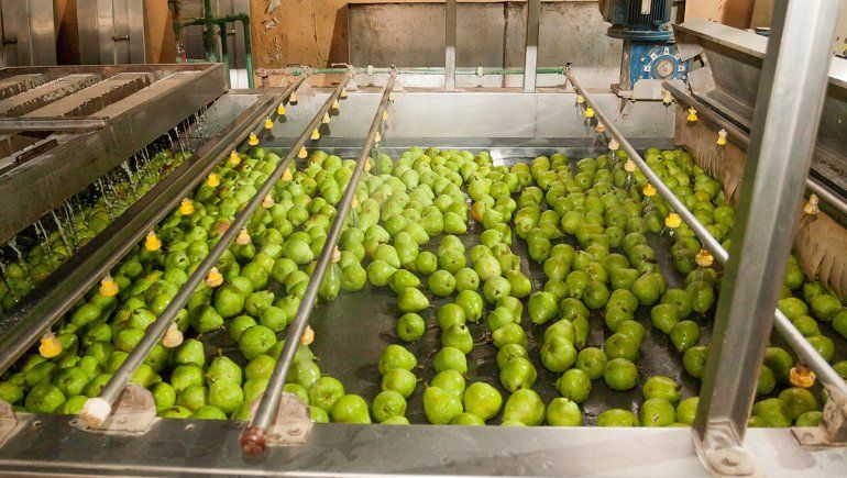 Noviembre, un mes flojo para la exportación de fruta del Alto Valle