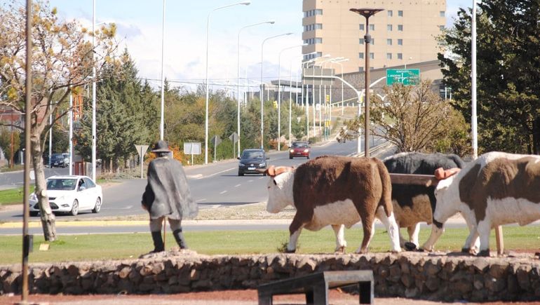Zapala tendrá en 2025 su propia bandera a través de un concurso público