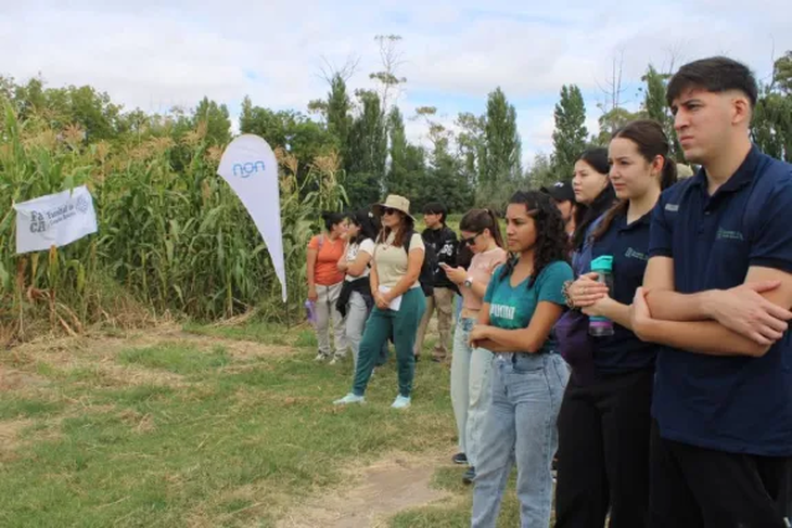 Productores regionales observan la demostración de siembra con drones en el campo experimental. Productores regionales observan la demostración de siembra con drones en el campo experimental.