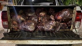 Cerca de 750 kilos de carne secuestró la Policía en Barda del Medio. | LM Neuquen Cerca de 750 kilos de carne secuestró la Policía en Barda del Medio.
