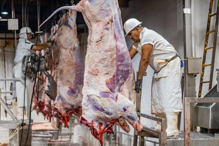 Con 1,014 millones de cabezas faenadas, la industria frigor&iacute;fica registr&oacute; un retroceso mensual e interanual que impact&oacute; en el volumen total de carne producido.