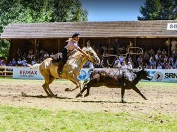 Durante cinco jornadas, el predio de la Sociedad Rural de Neuquén será escenario de exposiciones ganaderas, charlas técnicas y encuentros clave para el sector agropecuario. Durante cinco jornadas, el predio de la Sociedad Rural de Neuquén será escenario de exposiciones ganaderas, charlas técnicas y encuentros clave para el sector agropecuario.