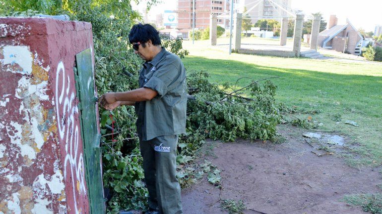 Muchas veces fuerzan las casillas de los placeros para robar.