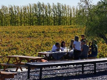 Familia Schroeder organiza comidas, degustaciones y visitas guiadas a sus galerías, incluida la cava del dinosaurio. Foto: Familia Schroeder