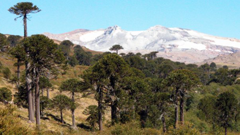 Chile elevó la alerta del volcán Copahue: qué se sabe