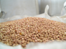 Laboratorio de control de calidad para las exportaciones argentinas hacia la Unión Europea. Laboratorio de control de calidad para las exportaciones argentinas hacia la Unión Europea.