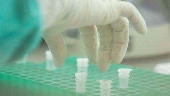 mexico se prepara para convivir un ano y medio con el coronavirus mexico se prepara para convivir un ano y medio con el coronavirus