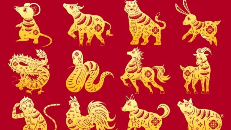 Horóscopo chino: tips para tener un buen año
