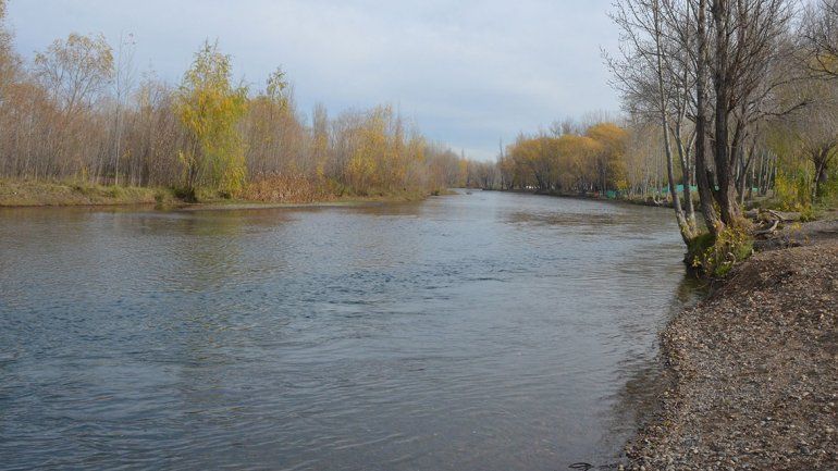 Alertan a clubes y vecinos por la crecida del Limay