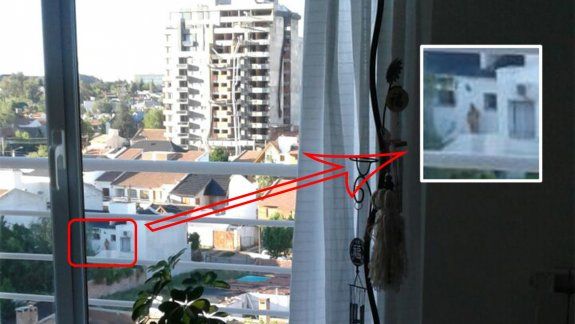 El barrio denuncia a un vecino porque toma sol desnudo