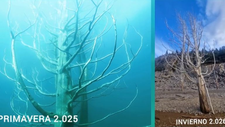 De bucear a caminar por un embalse patagónico: los videos que muestran una bajante inédita.