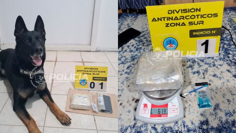 Detuvieron a un joven que viajaba en colectivo con medio pan de cocaína