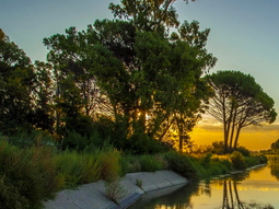 Los menonitas adquirieron 5.000 hectáreas en la zona de Negro Muerto, entre General Conesa y Choele Choel Los menonitas adquirieron 5.000 hectáreas en la zona de Negro Muerto, entre General Conesa y Choele Choel