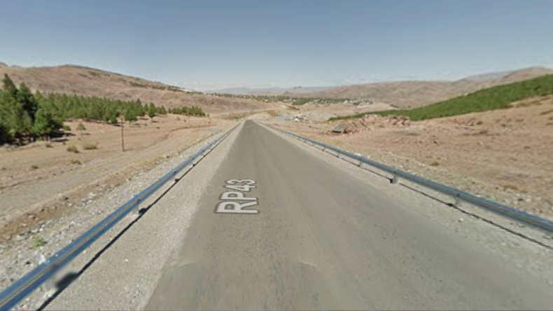 Un camion atropelló a un perro protector de ganado. | LM Neuquen Un camion atropelló a un perro protector de ganado.