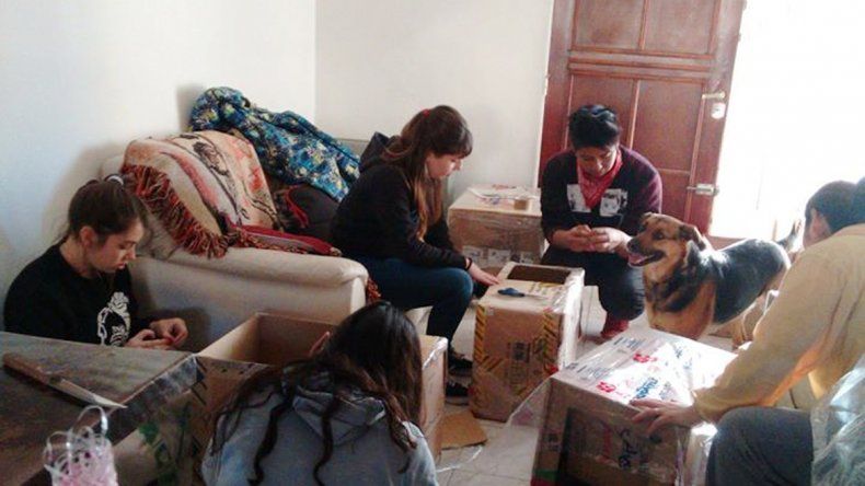 Con mucho esfuerzo y amor, armaron las cuchas para los perros.