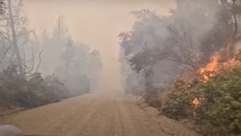 incendio en chubut: las llamas amenazan a el abuelo, el segundo alerce mas viejo del mundo incendio en chubut: las llamas amenazan a el abuelo, el segundo alerce mas viejo del mundo