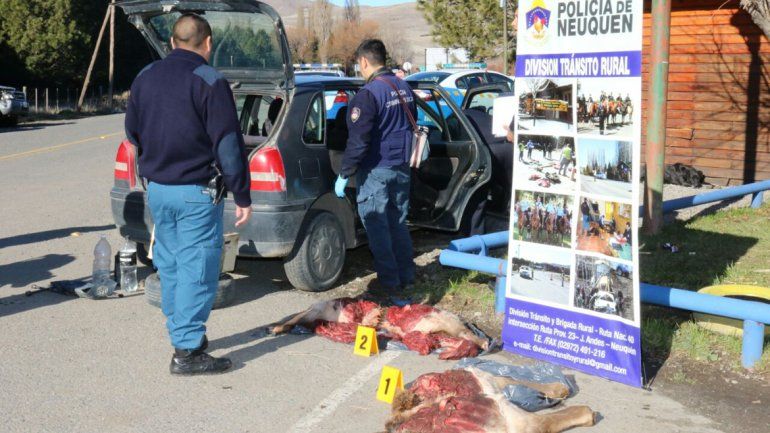 Secuestraron carne de ciervo en un operativo de tránsito en la Ruta 40