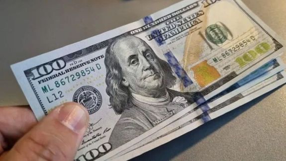 El dólar en el sube y baja de la economía argentina