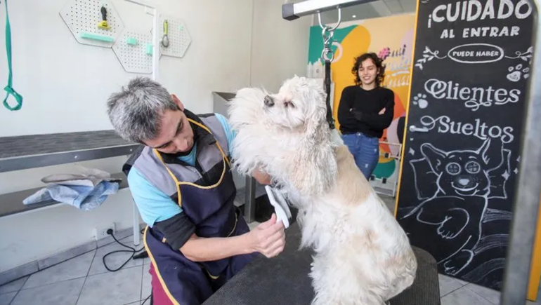 Spa para perros: ¿de qué se trata la propuesta y cuánto cuesta en Neuquén?