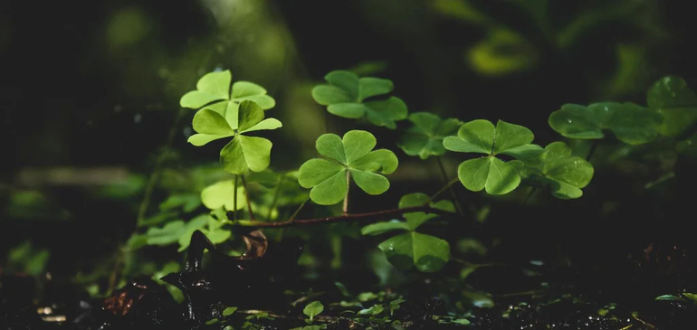El horóscopo del lunes. Siempre es necesario un poco de buena fortuna. El horóscopo del lunes. Siempre es necesario un poco de buena fortuna.