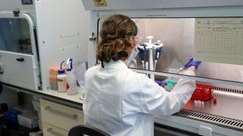 con 61 nuevas muertes, el pais roza las 50 mil victimas por covid con 61 nuevas muertes, el pais roza las 50 mil victimas por covid