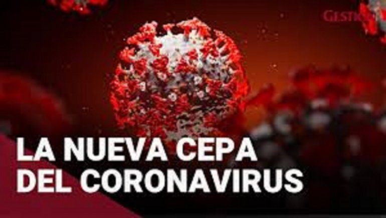Coronavirus: detectan nueva mutación en Japón
