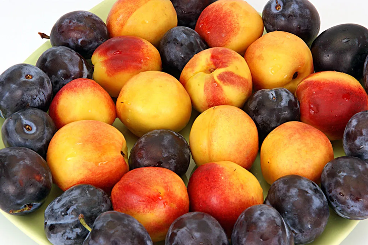 Las ciruelas encabezan el repunte exportador, mientras el sector se prepara para una de las temporadas m&aacute;s robustas de los &uacute;ltimos a&ntilde;os.