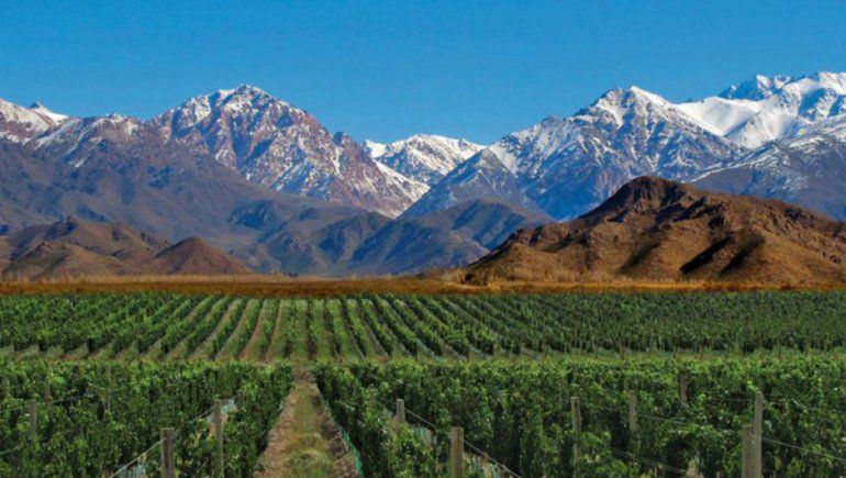 Los vinos más australes del mundo en la Patagonia