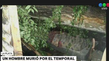 un arbol cayo durante un temporal y aplasto una casa: un muerto