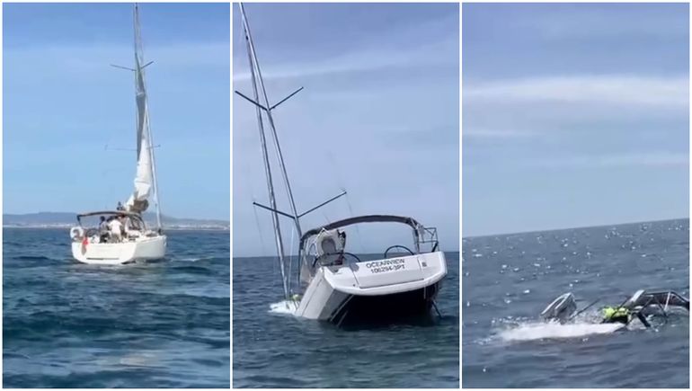 Orcas hundieron un velero en Portugal: un experto dice que solo estaban jugando Orcas hundieron un velero en Portugal: un experto dice que solo estaban jugando