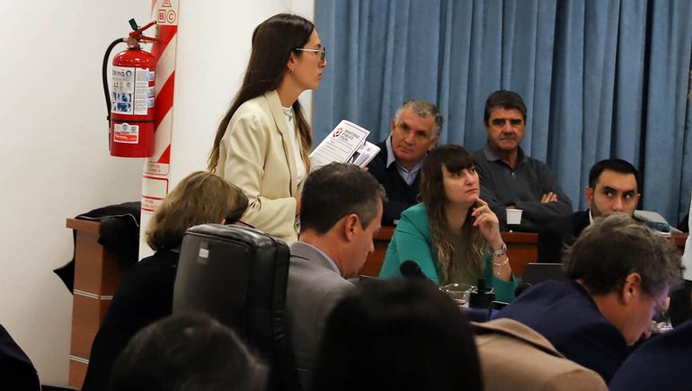 La contadora y perito de la Unidad de Delitos Económicos, Melisa Benítez Jaccod. La contadora y perito de la Unidad de Delitos Económicos, Melisa Benítez Jaccod.