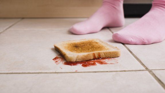 Los resultados fueron publicados en una revista especializada. Los alimentos que tienen más humedad son los que más rápido se contaminan en el piso.